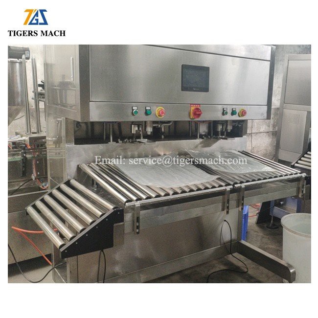 BIB Egg liquid packing machine