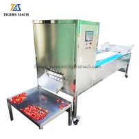 Jarðarberjaskurðarvél