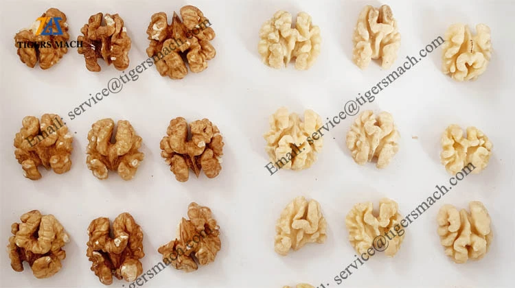 walnut processing equipment by Tigers machinery walnut processing equipment by Tigers machinery